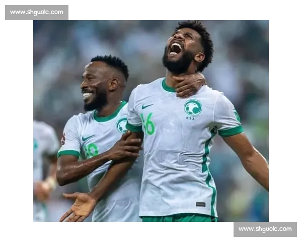 澳洲足球航母碾压亚洲足坛 亚洲杯格局十年未改一超多强